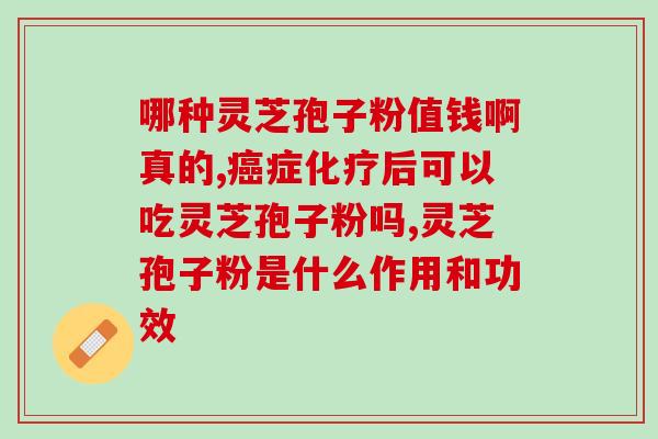 灵芝粉与灵芝孢子粉是否会过期？海金沙孢子粉可以存放多久