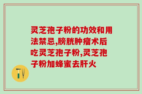 破壁灵芝孢子粉价格1克x10包(10包破壁灵芝孢子粉1克优惠价格限定)