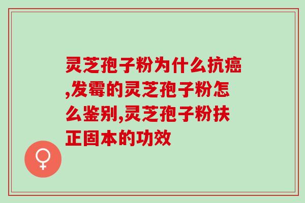 破壁灵芝孢子粉联合用药？提高免疫力的最佳选择？