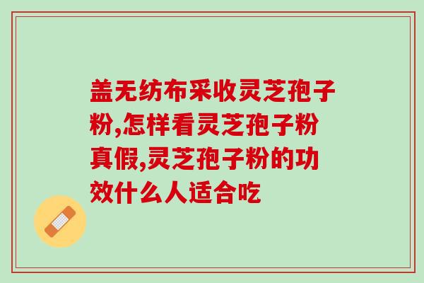 破壁灵芝泡子粉有什么功效(解读破壁灵芝泡子粉：功效如何？)