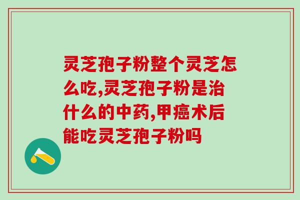 破壁灵芝孢子粉蓝帽子(重获活力!破壁灵芝孢子粉蓝帽子,改变你的生活体验) 破壁灵芝孢子粉蓝帽子(重获活力!破壁灵芝孢子粉蓝帽子,改变你的生活体验)