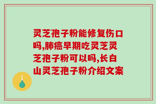 破壁灵芝孢子粉质量鉴别(如何辨别高质量的灵芝孢子粉？)