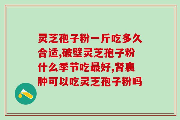 破壁灵芝的含量？破壁机打灵芝怎么做