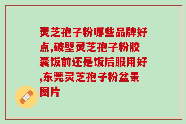 破壁灵芝孢子粉补气好吗？喝灵芝粉出现胃痛胃胀是怎么回事