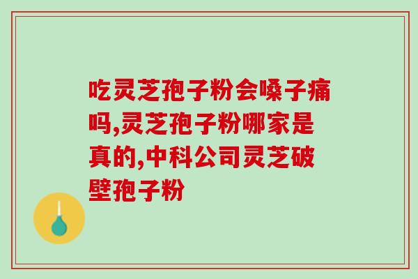 破壁灵芝孢子粉都有油吗(灵芝孢子粉含油吗？解答破壁技术迷惑问题)