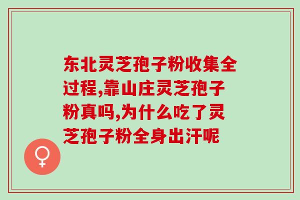 破壁灵芝孢子粉车间布置图(简洁实用  灵芝孢子粉车间效率提升的布置图)