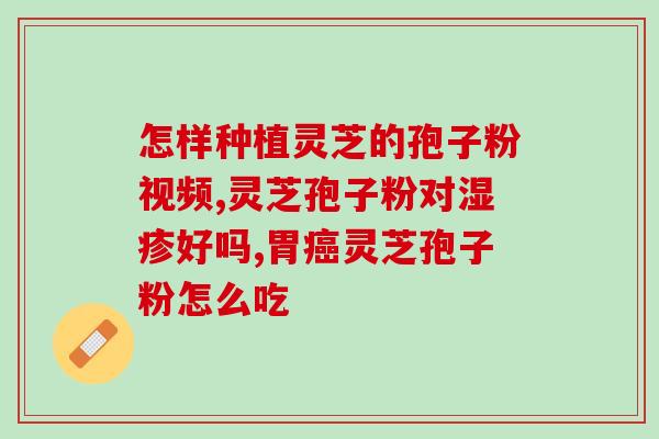 灵芝粉与灵芝孢子粉哪个贵(灵芝孢子粉是否比灵芝粉更贵？)
