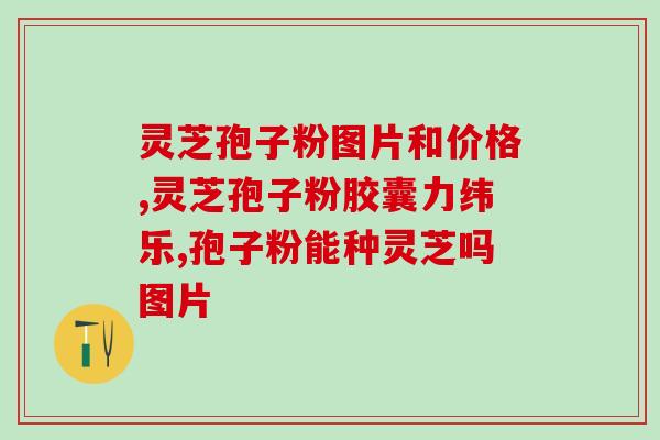 破壁灵芝狍子粉胶囊(灵芝狍子粉胶囊：突破保健新境界！)