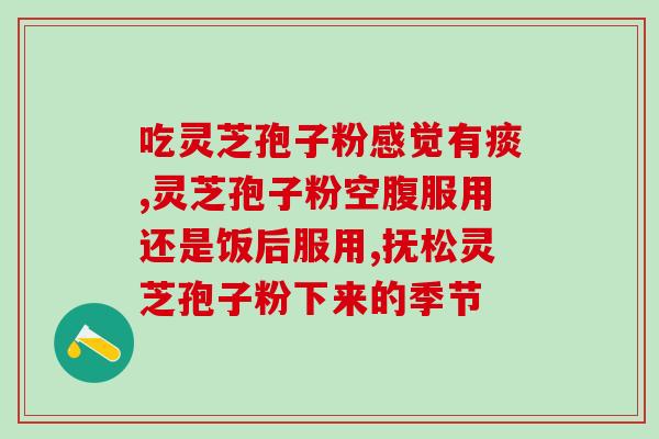破壁灵芝袍子粉有吃过的吗(有人尝试过破壁灵芝袍子粉吗？)