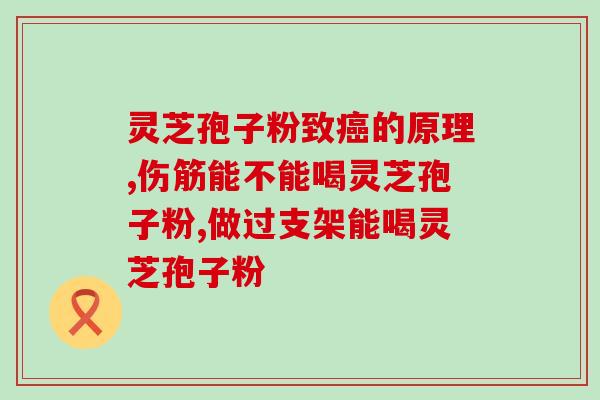 福建灵芝破壁粉礼盒？吉林抚松玉秀堂灵芝破壁孢子粉价格