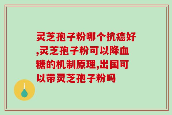紫灵芝何时能采集到孢子粉？探究紫灵芝的生命周期及孢子粉采集时间？