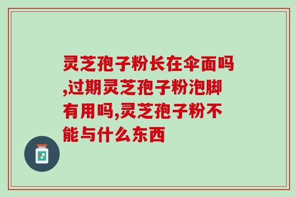 绿叶破壁灵芝孢子粉胶囊？怎么用破壁机做鱼丸
