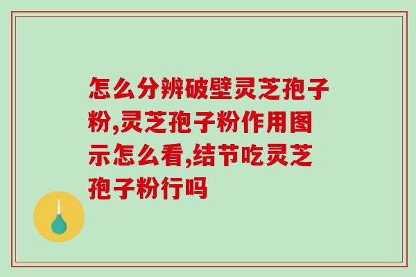 破壁灵芝孢子铁皮石斛粉(破壁精华 悦享身体：灵芝孢子 铁皮石斛粉)