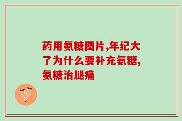 柯基可以吃人类软骨素(柯基能吃人类软骨素吗？  （26字）)