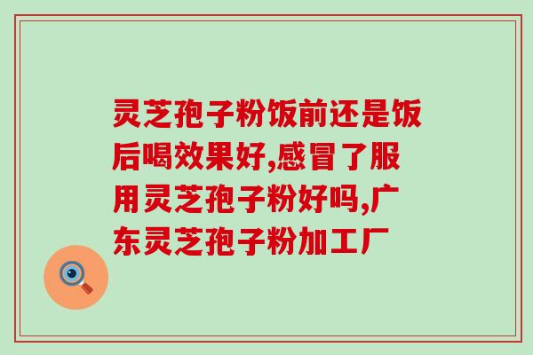 肾炎患者能吃孢子粉吗(肾炎患者可否食用孢子粉？)
