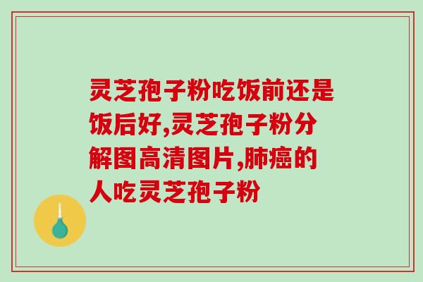 糜烂性肺炎能吃灵芝孢子粉吗 (糜烂性肺炎患者可服用灵芝孢子粉吗？)