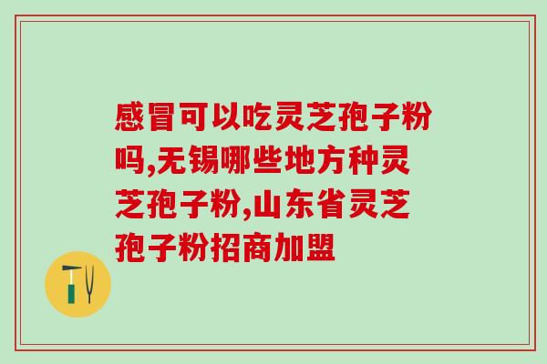 芝孢子粉早上吃还是晚上吃 (芝孢子粉最佳服用时间是早晚哪个？)