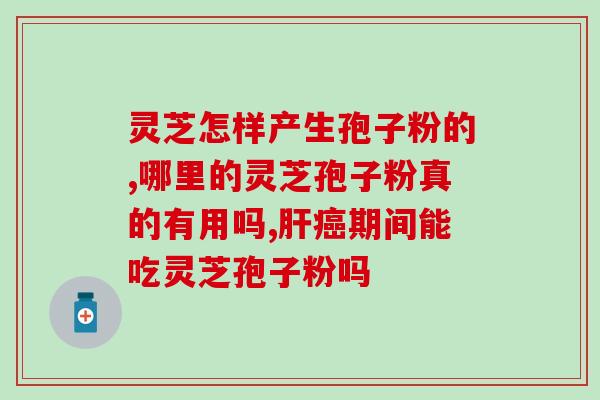 芝仁堂灵芝孢子(芝仁堂推出高品质灵芝孢子，滋补养生再升级)