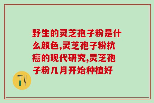精品灵芝孢子粉胶囊？破壁灵芝孢子粉产品哪家好