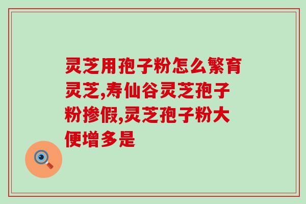 芝草孢子粉多少钱一斤(芝草孢子粉价格一斤多少？)