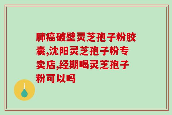 芝蔻牌破壁灵芝孢子粉排名？全网最新排名及评价？