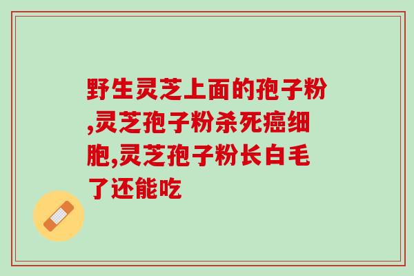 芝蔲牌灵芝孢子粉?灵芝孢子粉多少钱一盒200克 芝蔲牌灵芝孢子粉?灵芝孢子粉多少钱一盒200克