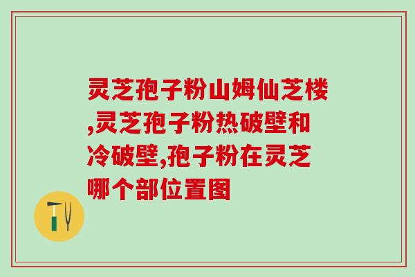 蜂蜜和灵芝孢子粉一起喝(灵芝孢子粉搭配蜂蜜，喝出养生美味！)