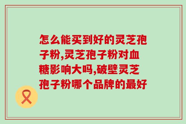 芬姐足球农庄孢子粉(足球界的“创业者”芬姐：在农庄里种出足球孢子粉)
