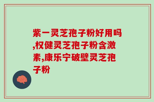芝蔻破壁灵芝孢子粉吃法(芝蔻灵芝孢子粉的正确实用方法)