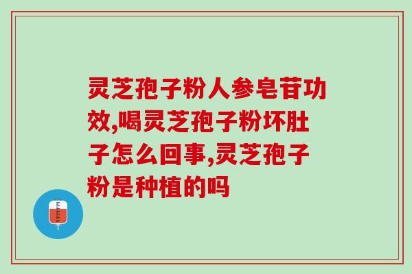 荨麻疹 灵芝孢子粉(灵芝孢子粉缓解荨麻疹，一种天然健康之选)