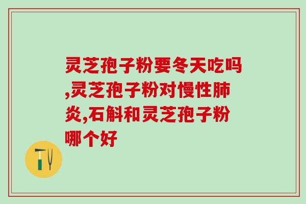 菌宝灵芝破壁孢子粉(菌宝灵芝孢子粉：突破壁增效、助你达到更佳健康状态)