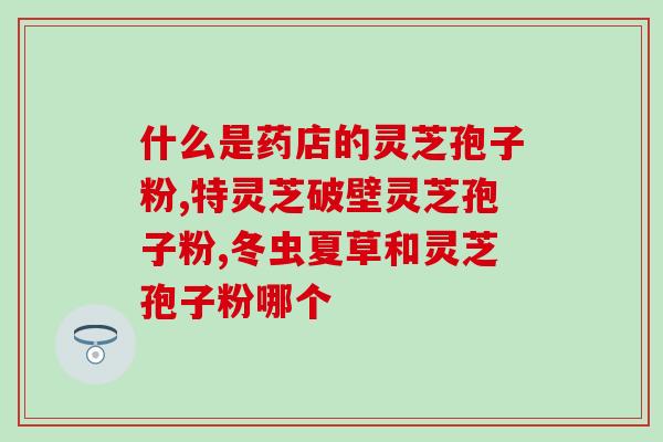 破壁炮芝粉 (壁虎主人好帮手——破壁炮芝粉)