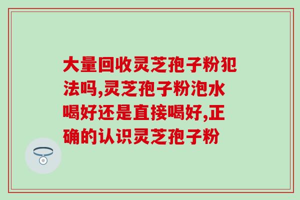 芝素堂破壁灵芝孢子粉质量(芝素堂灵芝孢子粉品质高超)