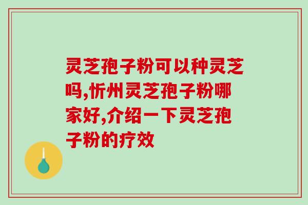 苗宜堂灵芝孢子苗宜堂推出纯正灵芝孢子粉,提高免疫力)