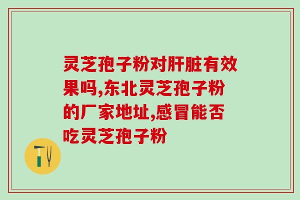 败血症患者可否食用灵芝孢子粉？专业医生解答？