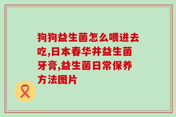 伊利益生菌搭配什么饮品(伊利益生菌搭配哪些饮品最佳？)