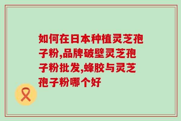 领导牌灵芝孢子粉领导牌灵芝孢子粉：管管你的健康，拥抱自在生活)