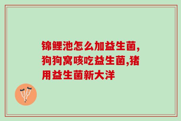 什么时候要补充益生菌(增强肠道健康，补充益生菌的最佳时间是什么？)