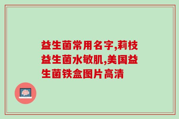 六星益生菌蛋白棒(益生菌蛋白棒6星级，促进肠道健康)