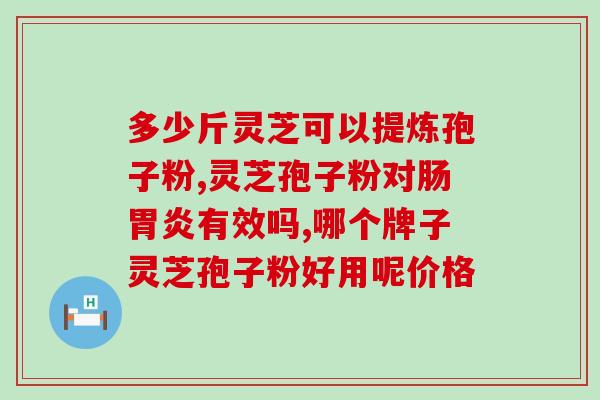 购买灵之破壁孢子粉(灵菇破壁孢子粉，营养健康护理，提高免疫力！)