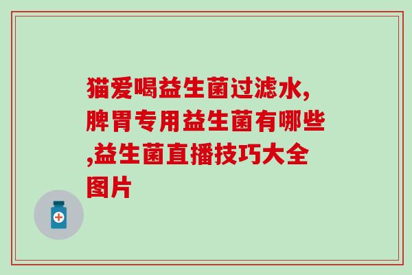便秘腹胀吃什么益生菌(缓解便秘腹胀 试试益生菌吧)