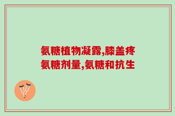 氨糖是滋阴的药么吗(氨糖：滋阴药还是错解？)