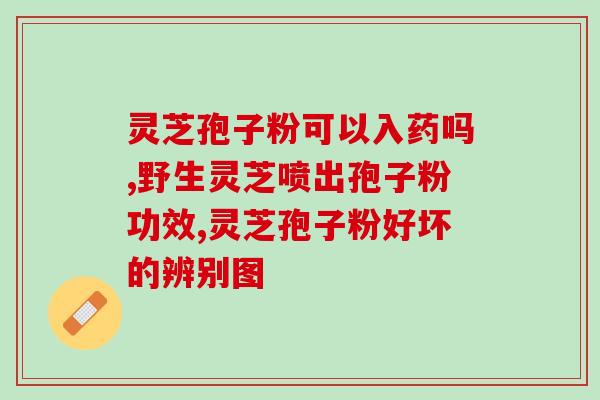 黑灵芝能出孢子粉吗(黑灵芝能否生产孢子粉？)