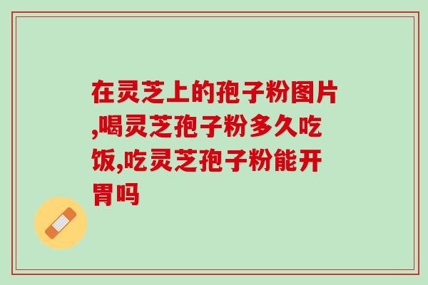 赤芝孢子粉什么时候吃(什么时间最适合吃赤芝孢子粉？)
