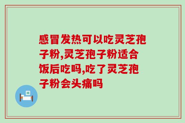 黑土精灵灵芝孢子粉(黑土精灵灵芝孢子粉：保健养生的绝佳选择)