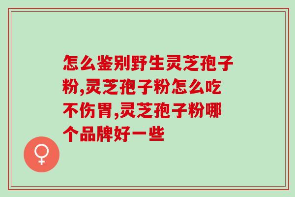 黑灵芝的孢子粉是什么做的？了解黑灵芝孢子粉的来源和制作过程？