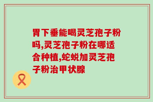 龙泉灵芝孢子粉怎么样？修正灵芝孢子粉靠谱吗