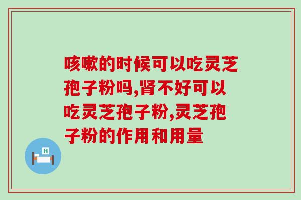 长白山破辟灵芝孢子粉的功效与使用方法