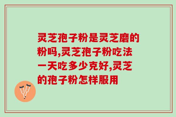 麦力若牌灵芝破壁孢子粉(麦力若灵芝孢子粉:破壁工艺提高吸收率) 麦力若牌灵芝破壁孢子粉(麦力若灵芝孢子粉:破壁工艺提高吸收率)