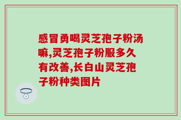高血压的人可以吃孢子粉吗(高血压者适合食用孢子粉吗？)